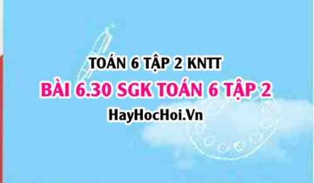 Bài 6.30 SGK Toán 6 tập 2 Kết nối tri thức